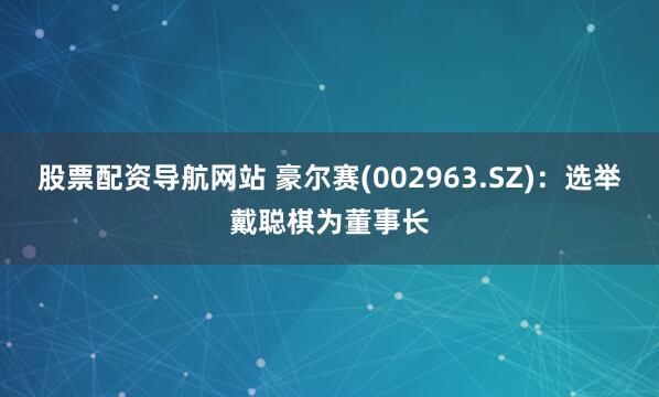 股票配资导航网站 豪尔赛(002963.SZ)：选举戴聪棋为董事长