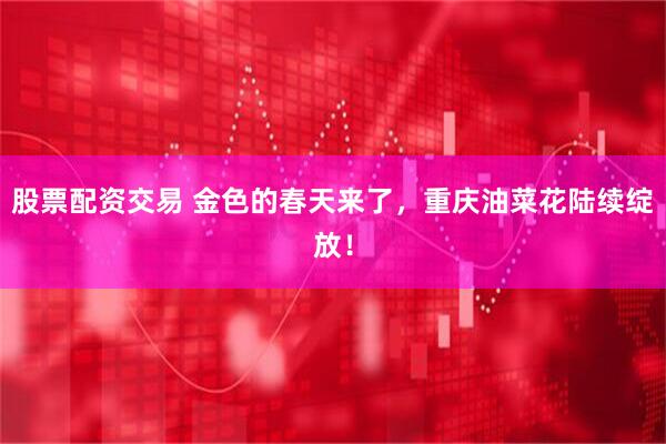 股票配资交易 金色的春天来了，重庆油菜花陆续绽放！