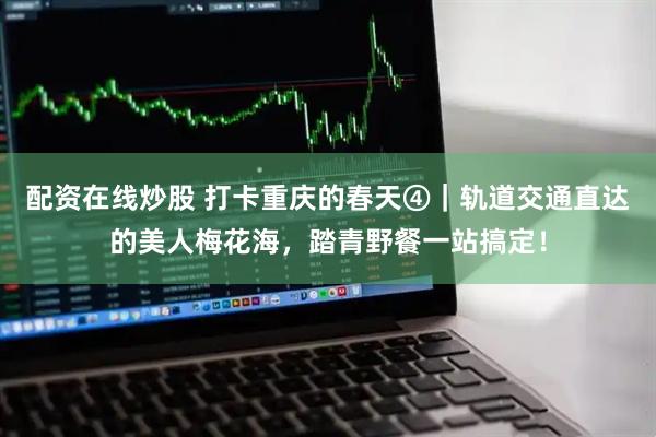配资在线炒股 打卡重庆的春天④｜轨道交通直达的美人梅花海，踏青野餐一站搞定！